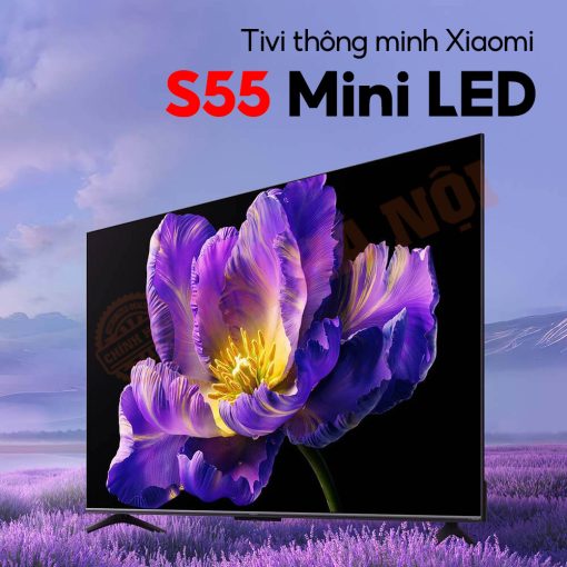 tivi s55 mini LED 55 inch